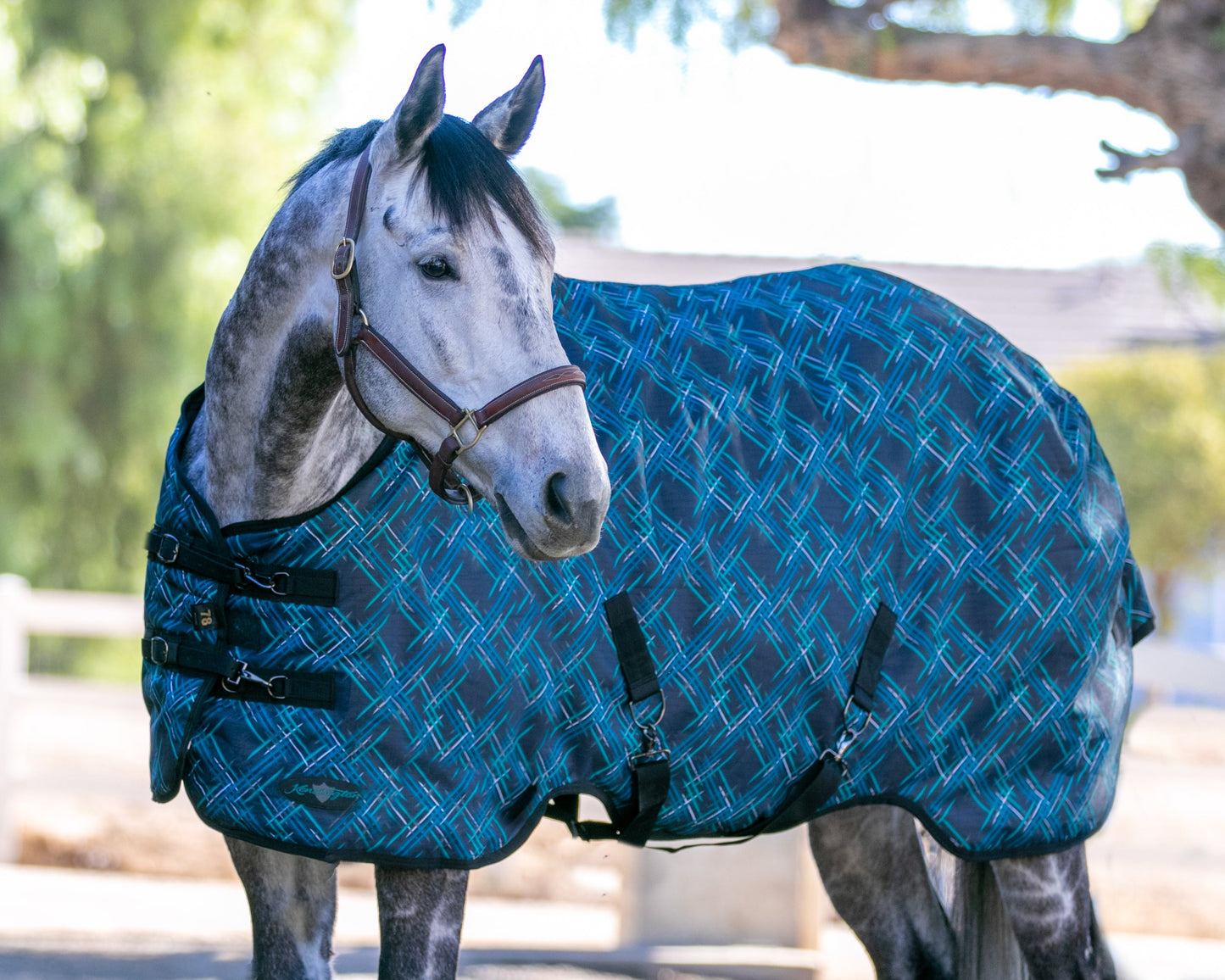Kensington Signature Heavyweight Turnout Blanket