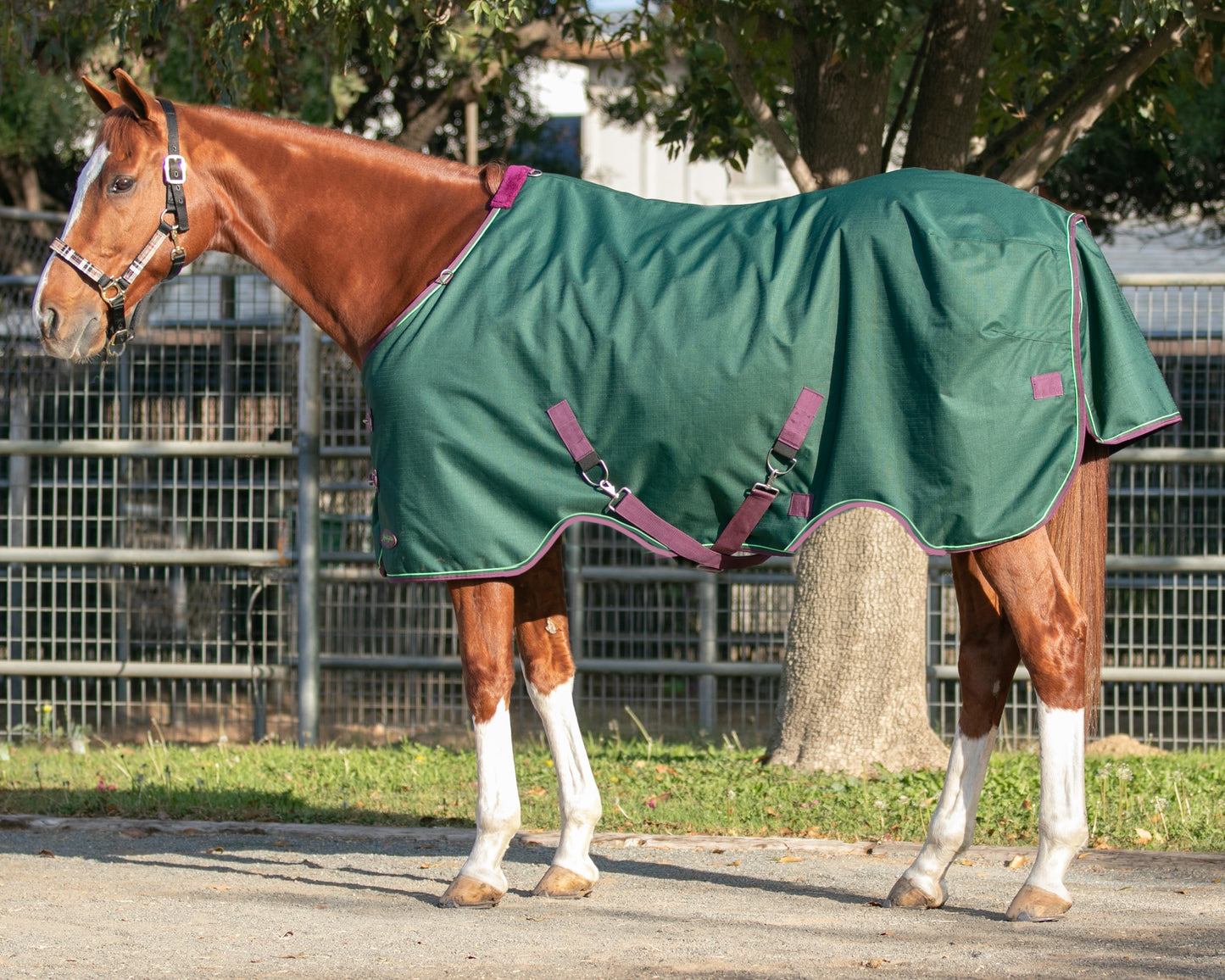 Kensington Signature Heavyweight Turnout Blanket