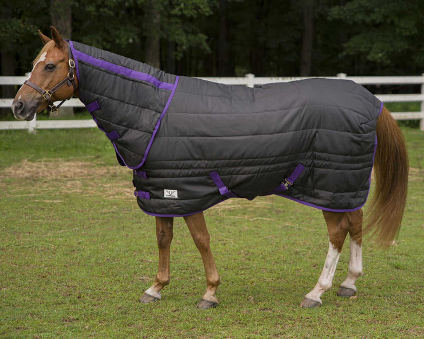 TuffRider Kozy Komfort Combo Stable Blanket