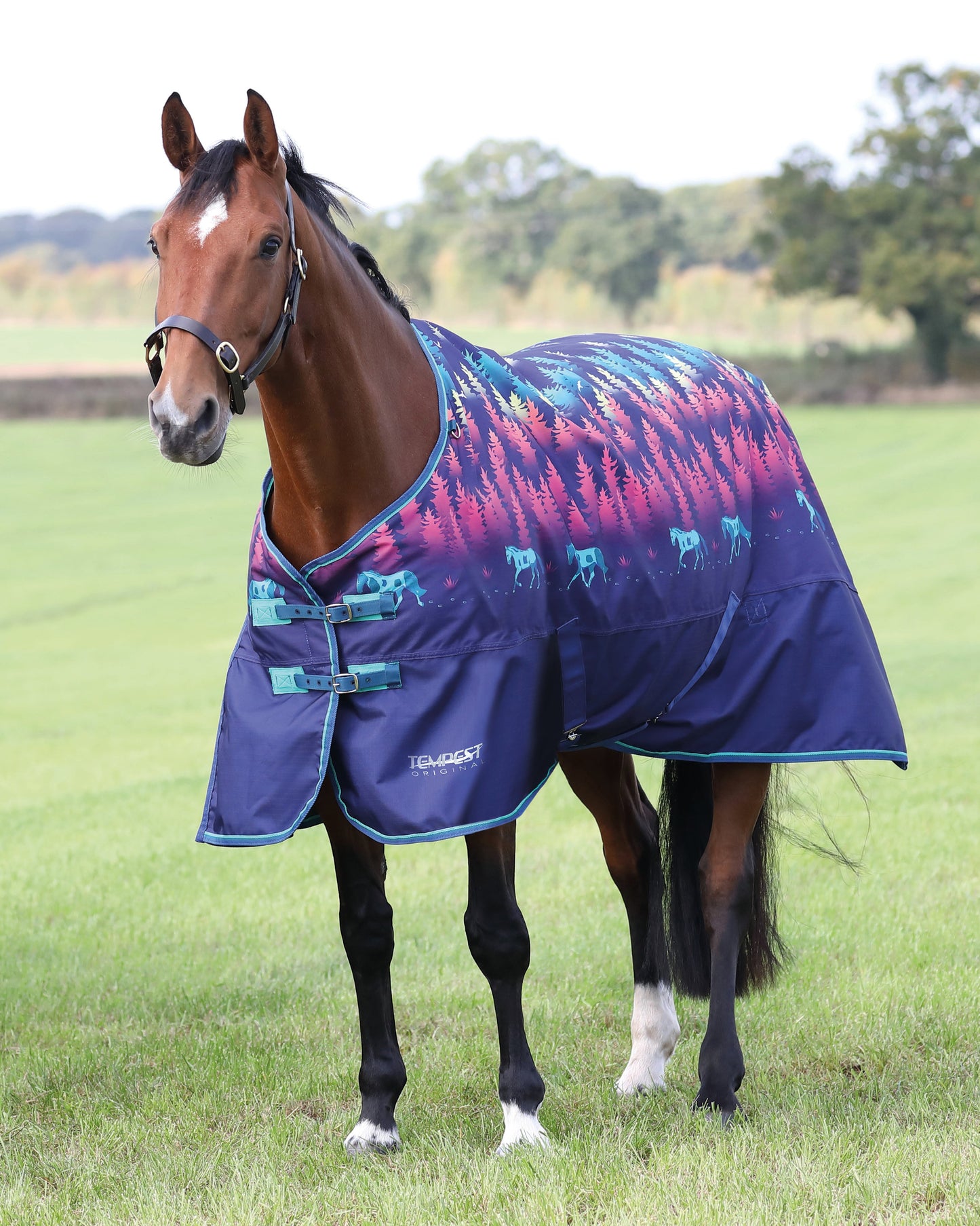 Shires Tempest Original Lite Turnout Sheet