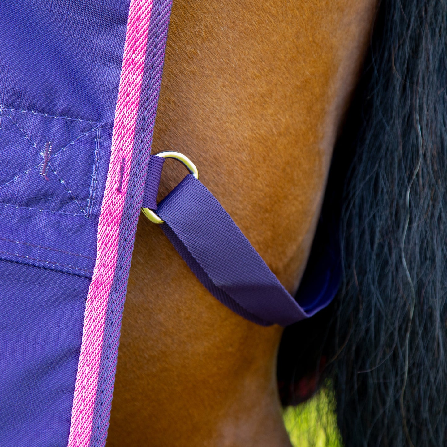 Shires Tempest Original Lite Turnout Sheet