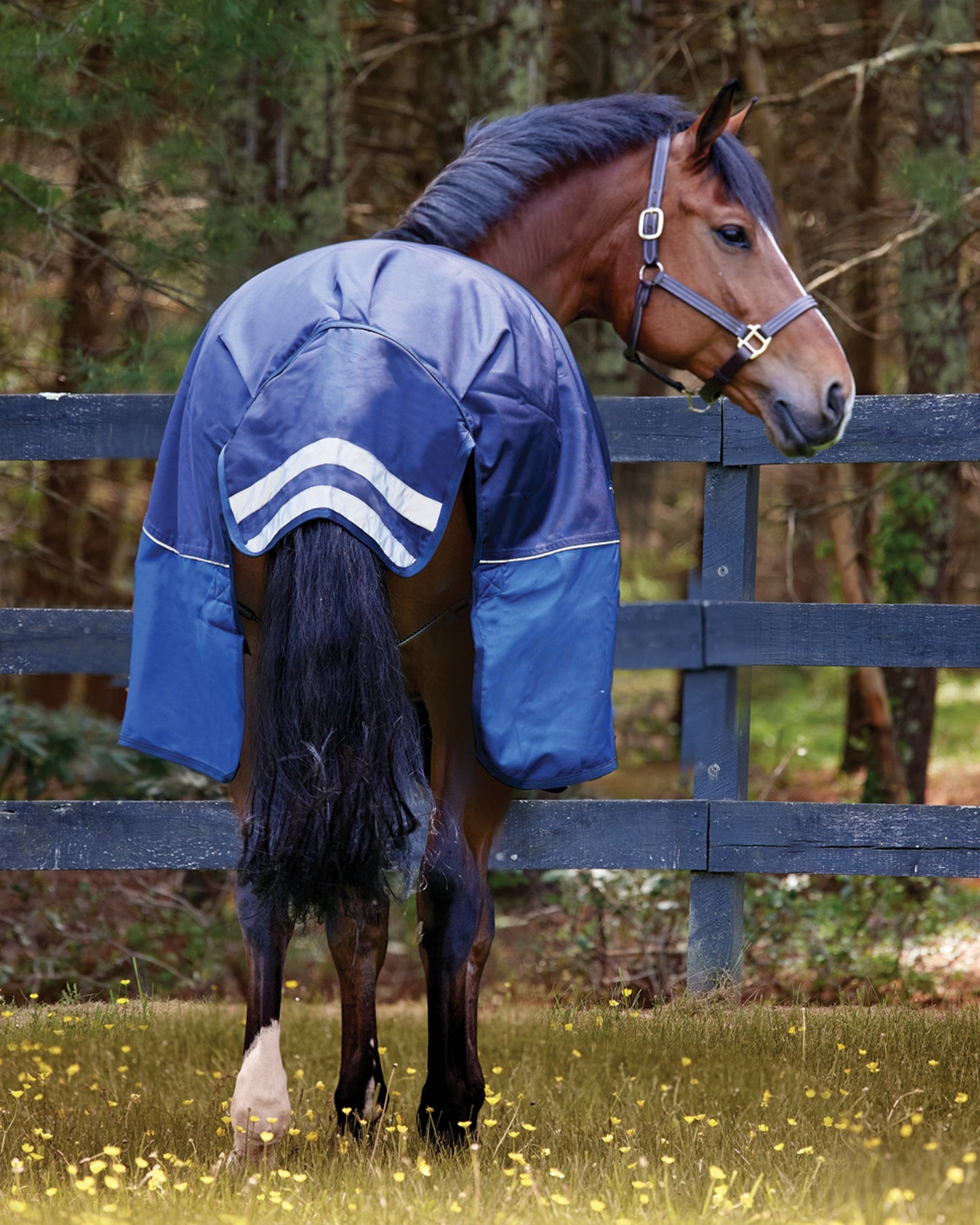 NorthWind Medium-Weight Turnout Blanket