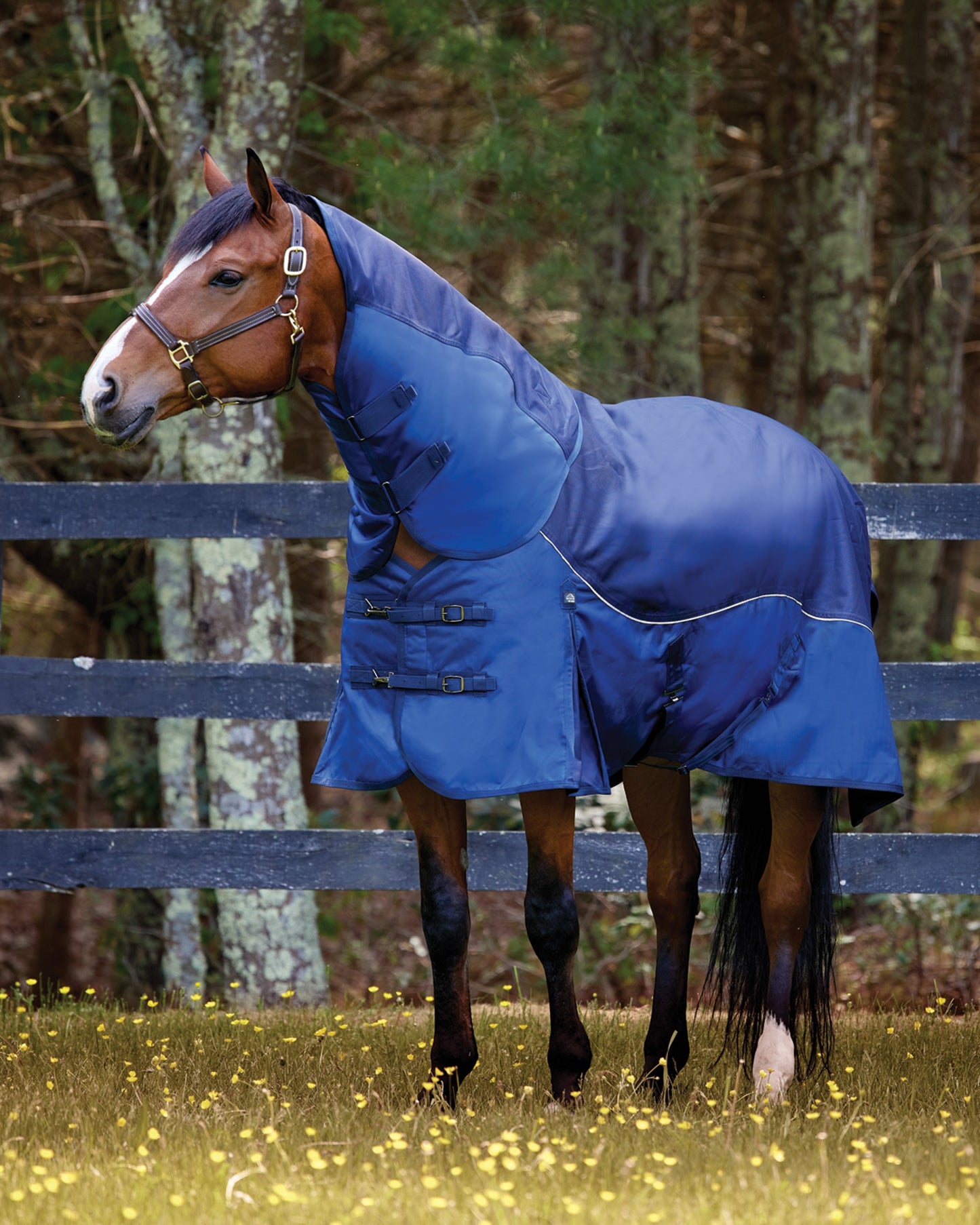 NorthWind Heavyweight Turnout Blanket