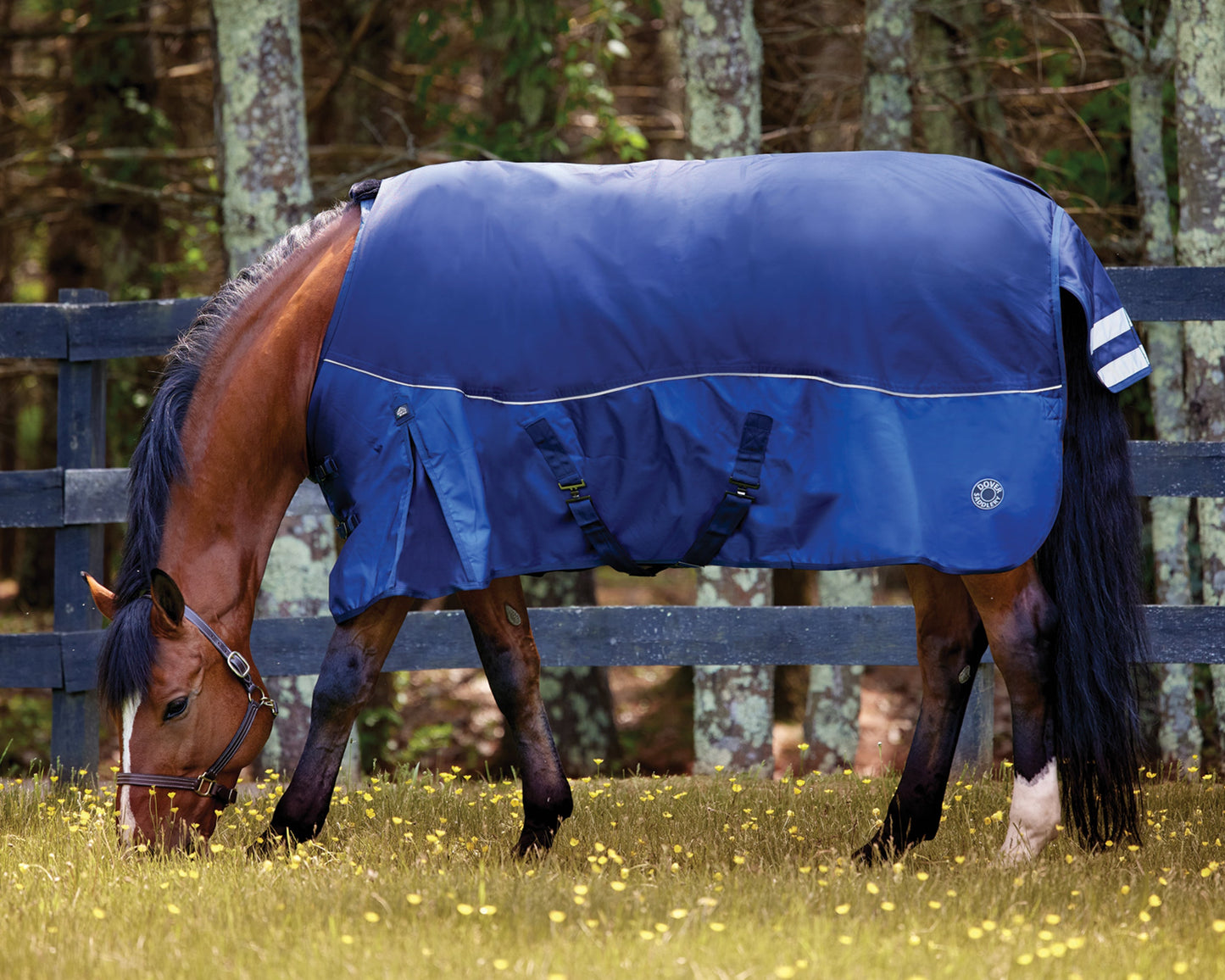 NorthWind Medium-Weight Turnout Blanket