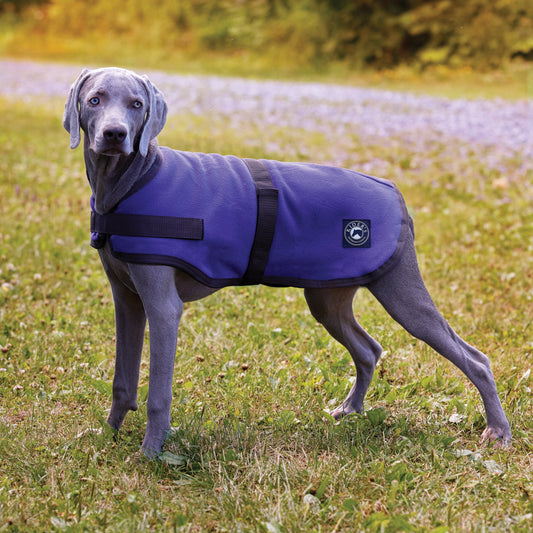Rider’s International Fleece Dog Cooler