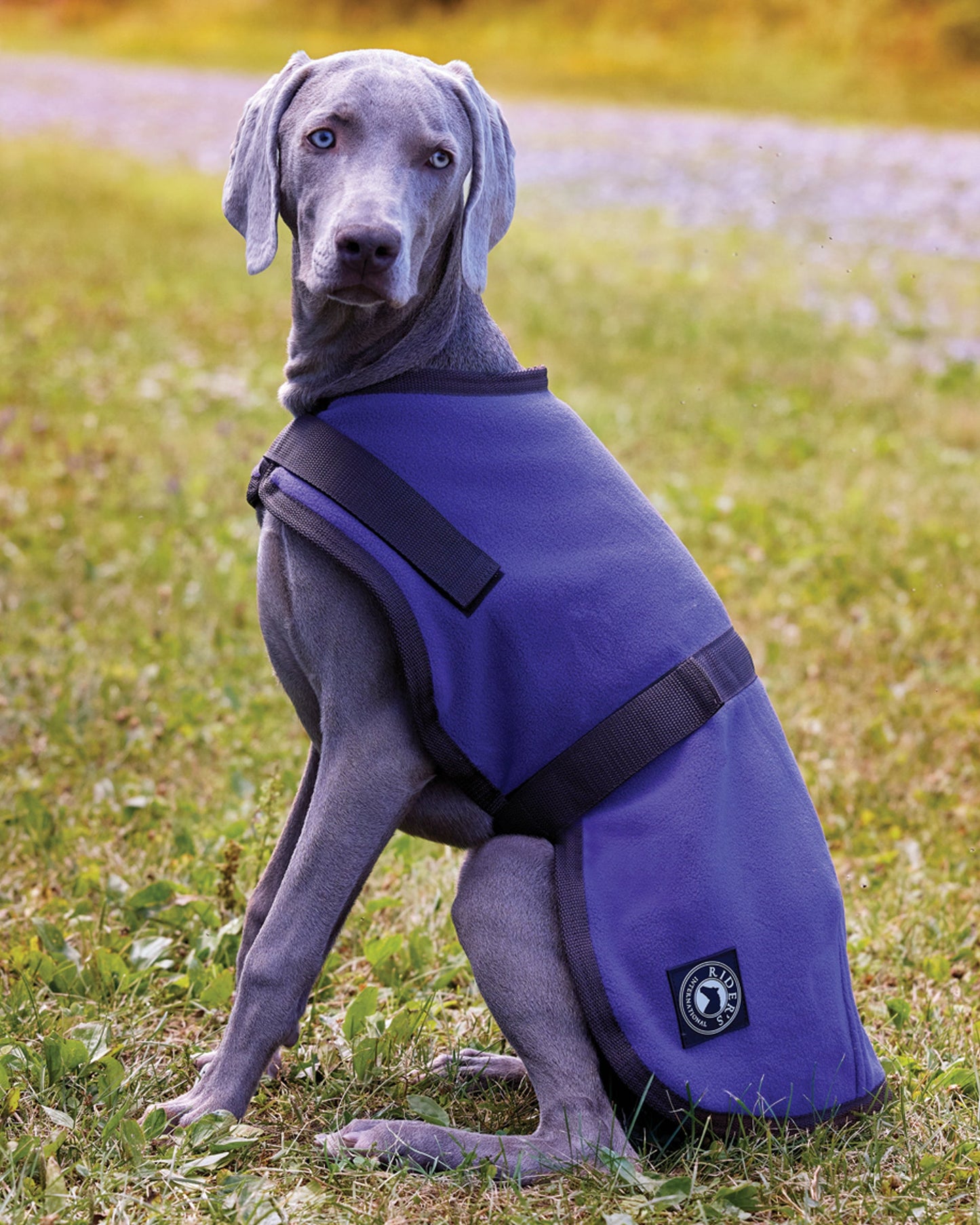 Rider’s International Fleece Dog Cooler