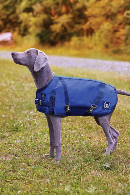 NorthWind Dog Turnout Blanket