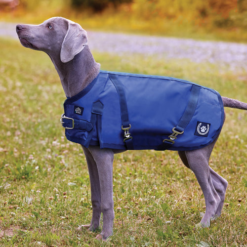 NorthWind Dog Turnout Blanket