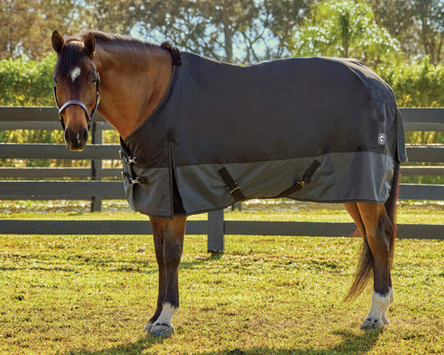 Rider’s International 600D Reflective Turnout Sheet
