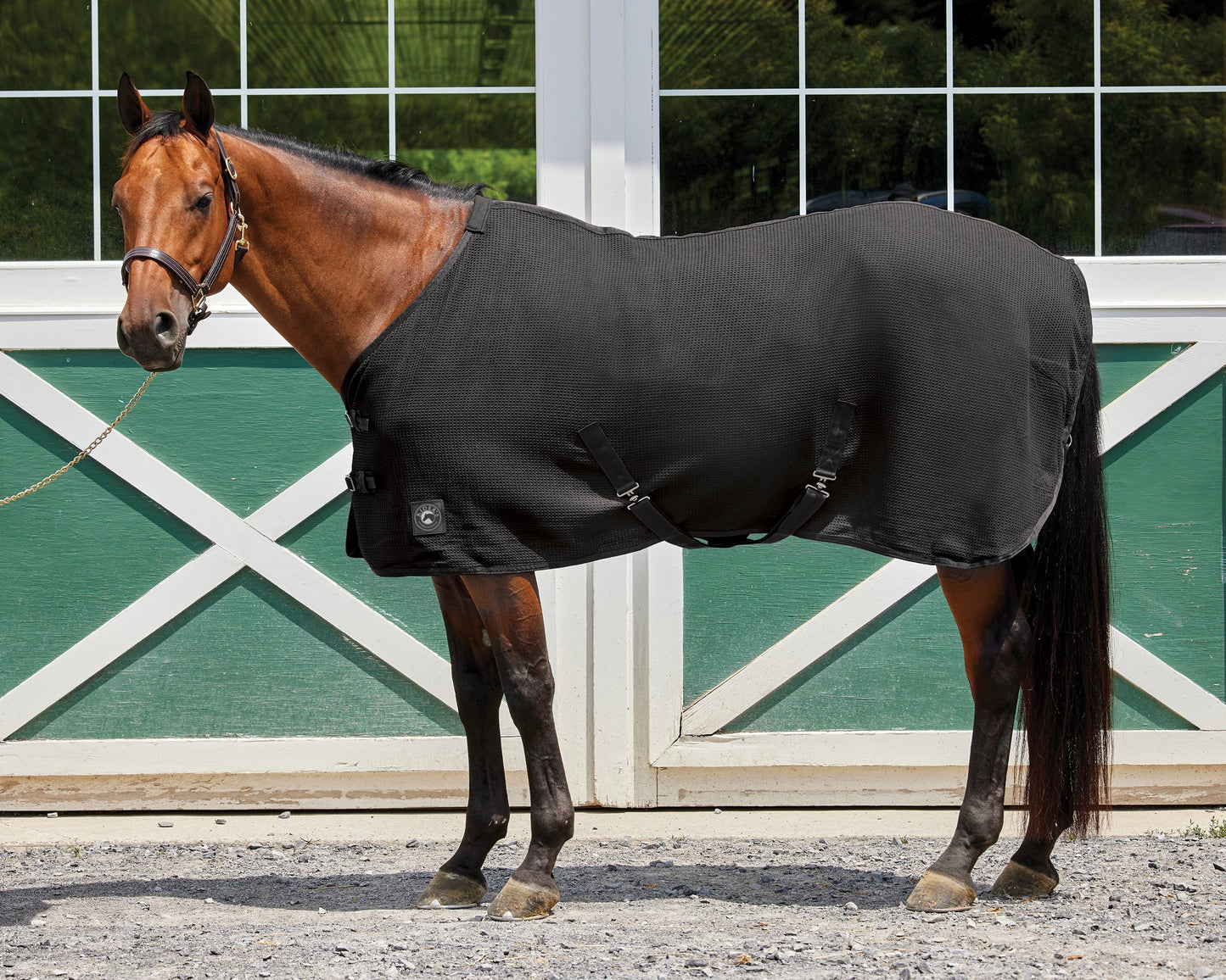 Rider’s International Chill Chaser