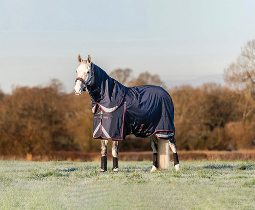 LeMieux Kudos 200 Gram Turnout Blanket