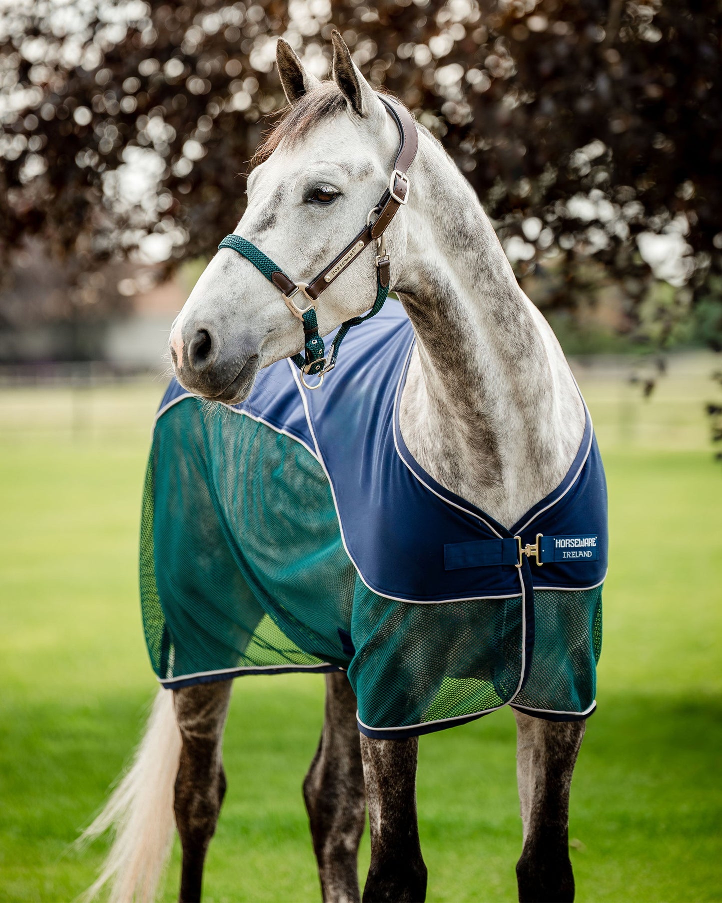 Horseware Ireland Signature Sport Cooler