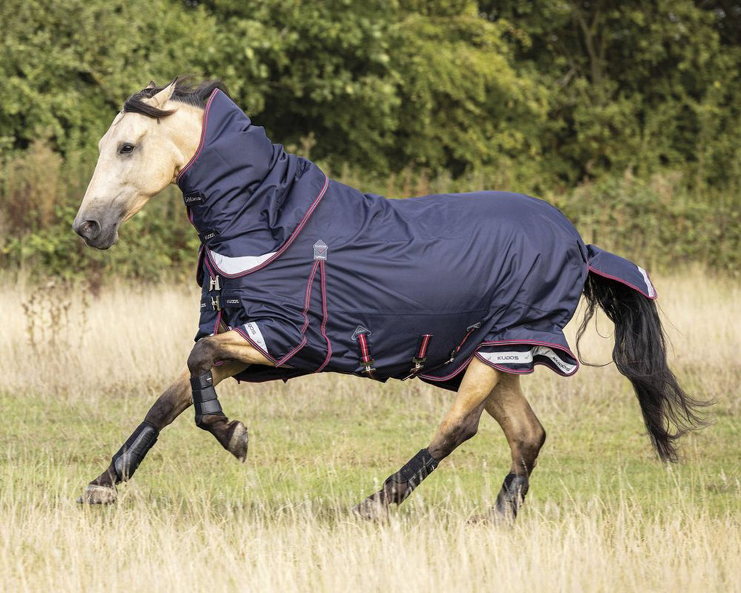 LeMieux Kudos 100 Gram Turnout Blanket with Leg Straps