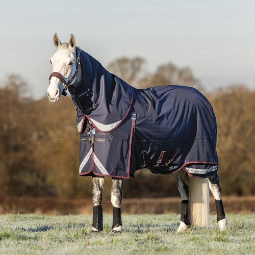 LeMieux Kudos 200 Gram Turnout Blanket with Leg Straps