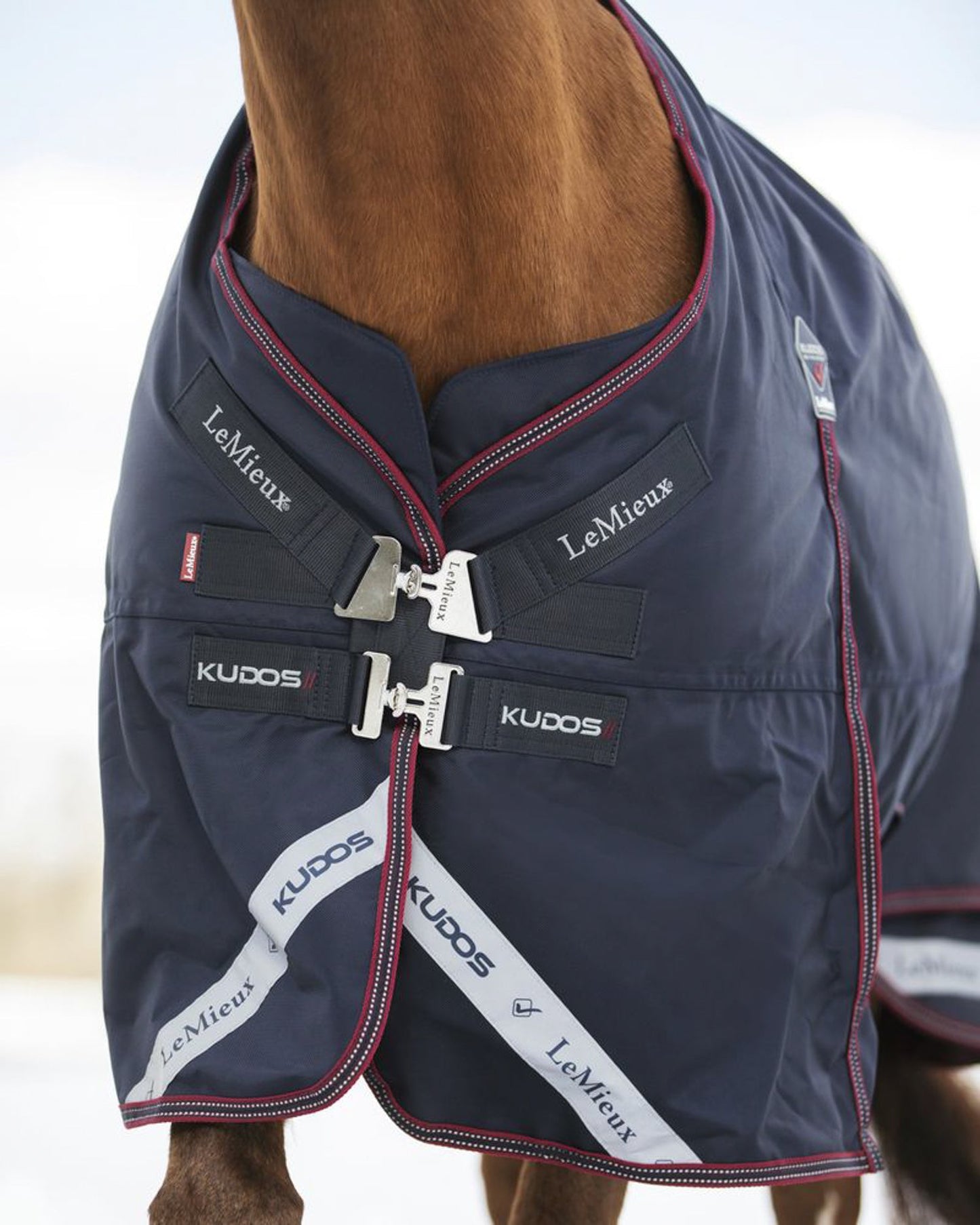 LeMieux Kudos 200 Gram Turnout Blanket with Leg Straps
