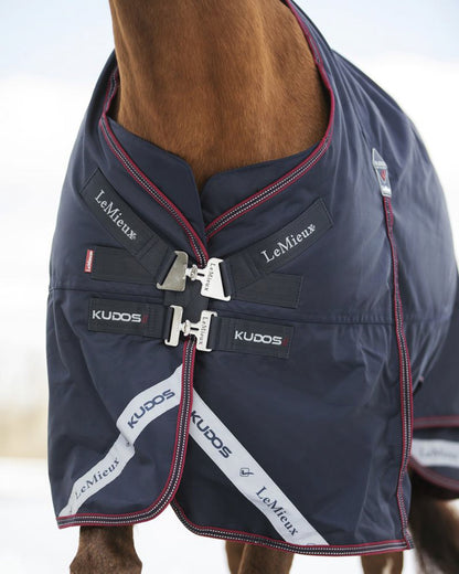 LeMieux Kudos 200 Gram Turnout Blanket with Leg Straps