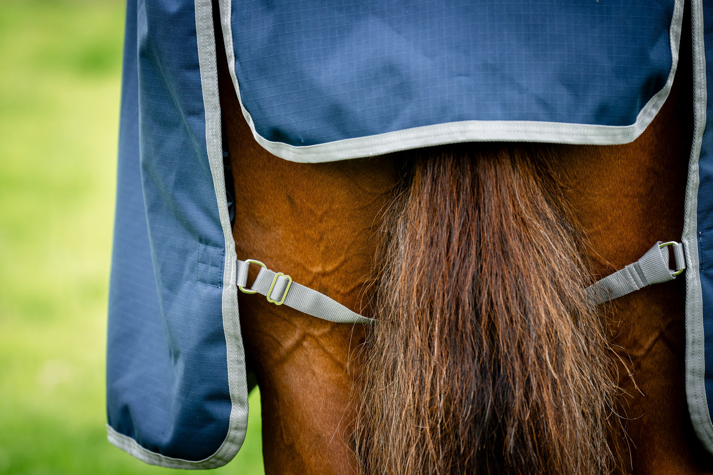 Horseware Ireland Amigo Ripstop 900D 50 Gram Standard Neck Turnout