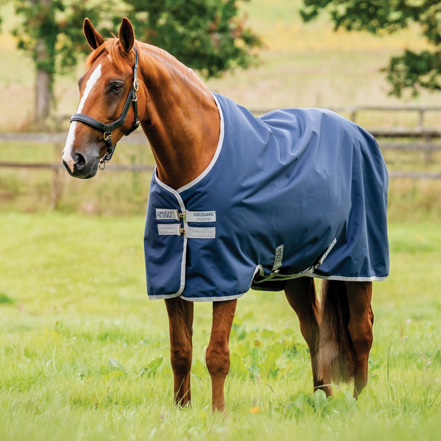 Horseware Ireland Amigo Ripstop 900D 200 Gram Standard Neck Turnout