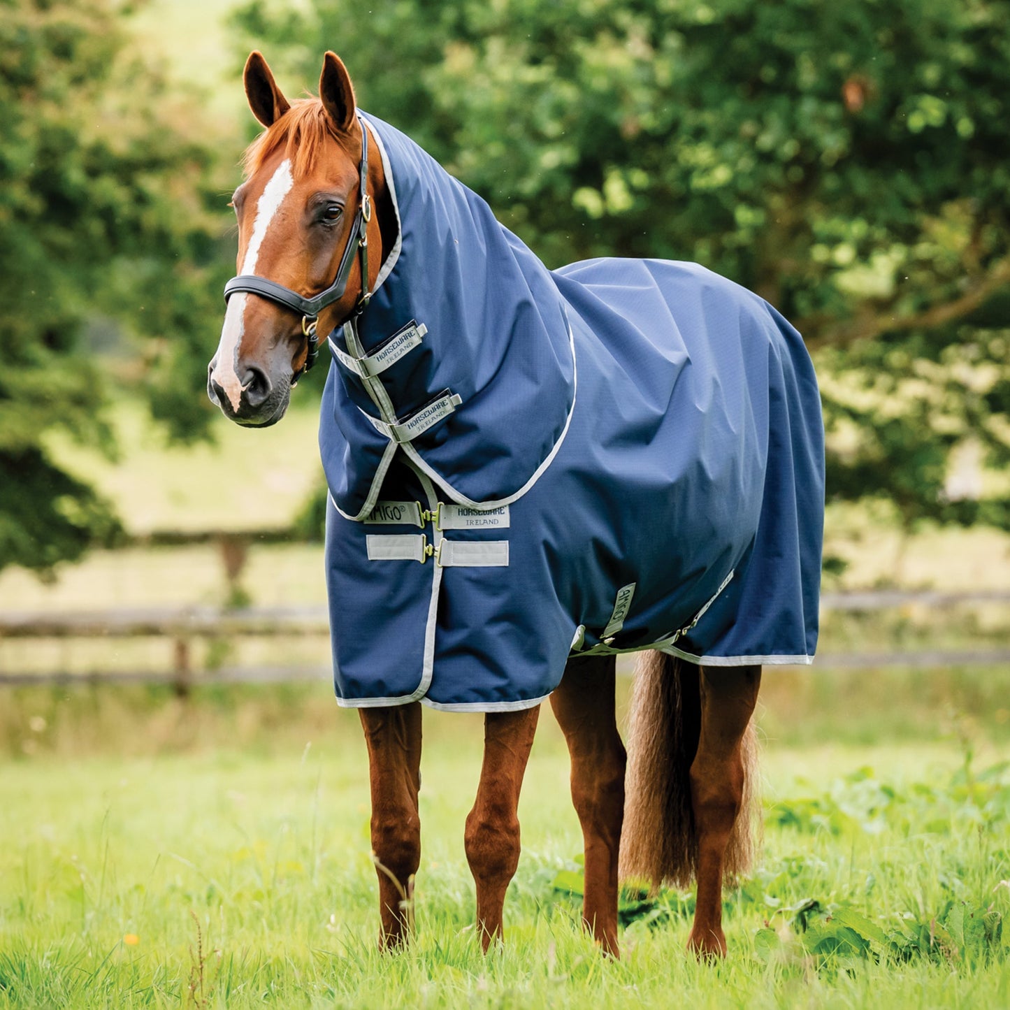Horseware Ireland Amigo 900D Ripstop Plus Turnout-100-Grams