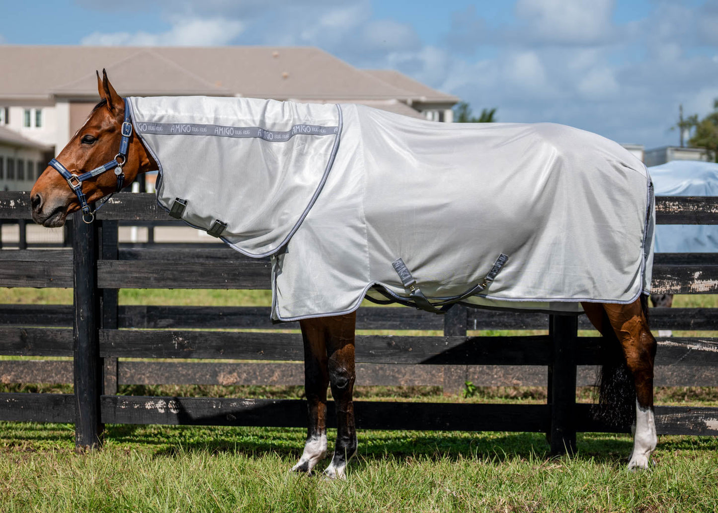 Horseware Ireland Amigo Bug Rug Plus Fly Sheet