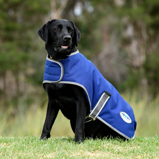 WeatherBeeta Comfitec Premier Free Parka Dog Coat