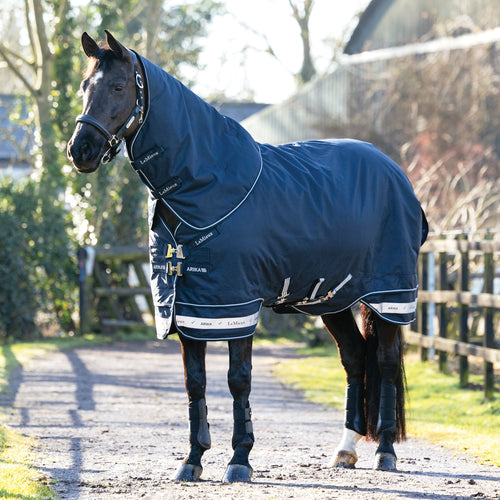 LeMieux Arika Storm-Tek 200 Gram Turnout Blanket with Leg Straps