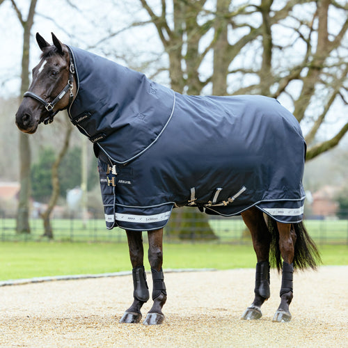 LeMieux Arika Storm-Tek 350 Gram Turnout Blanket with Leg Straps
