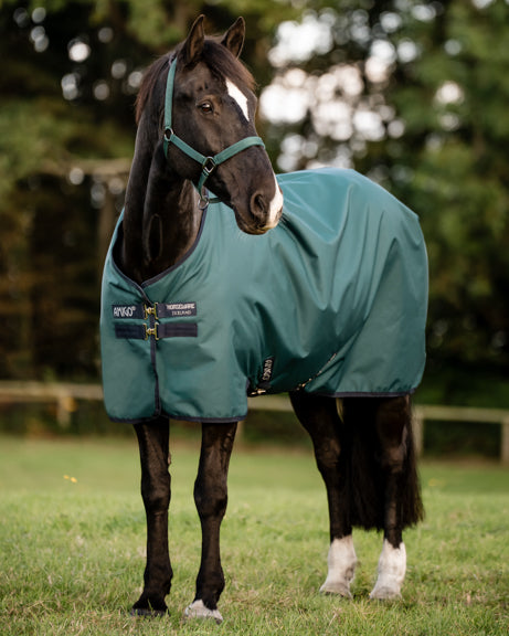 Horseware Ireland Amigo Ripstop 900D 100 Gram Standard Neck Pony Turnout–Seasonal Color