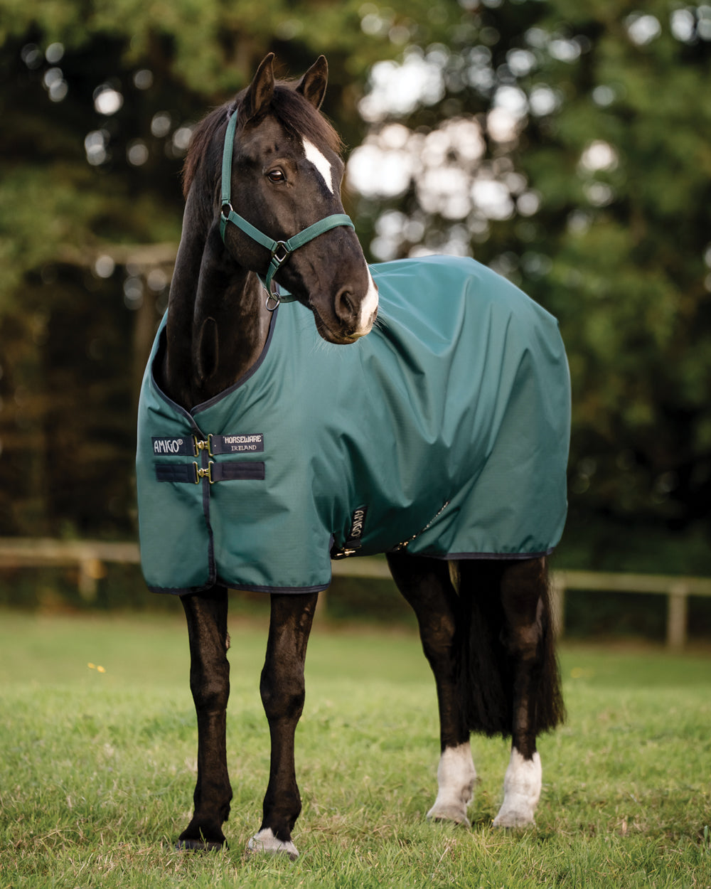 Horseware Ireland Amigo Ripstop 900D 200 Gram Standard Neck Turnout–Seasonal Color