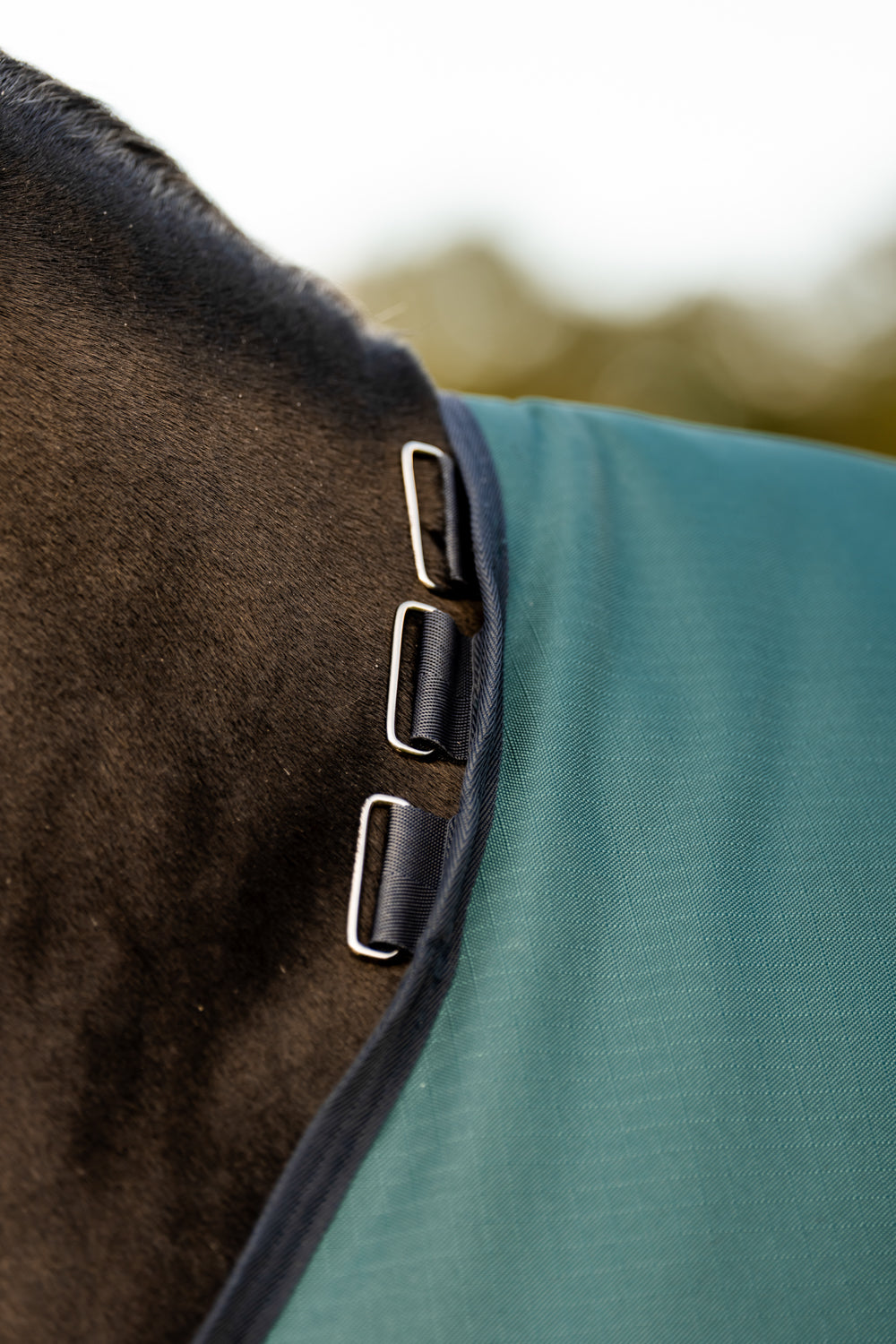 Horseware Ireland Amigo Ripstop 900D 100 Gram Standard Neck Turnout