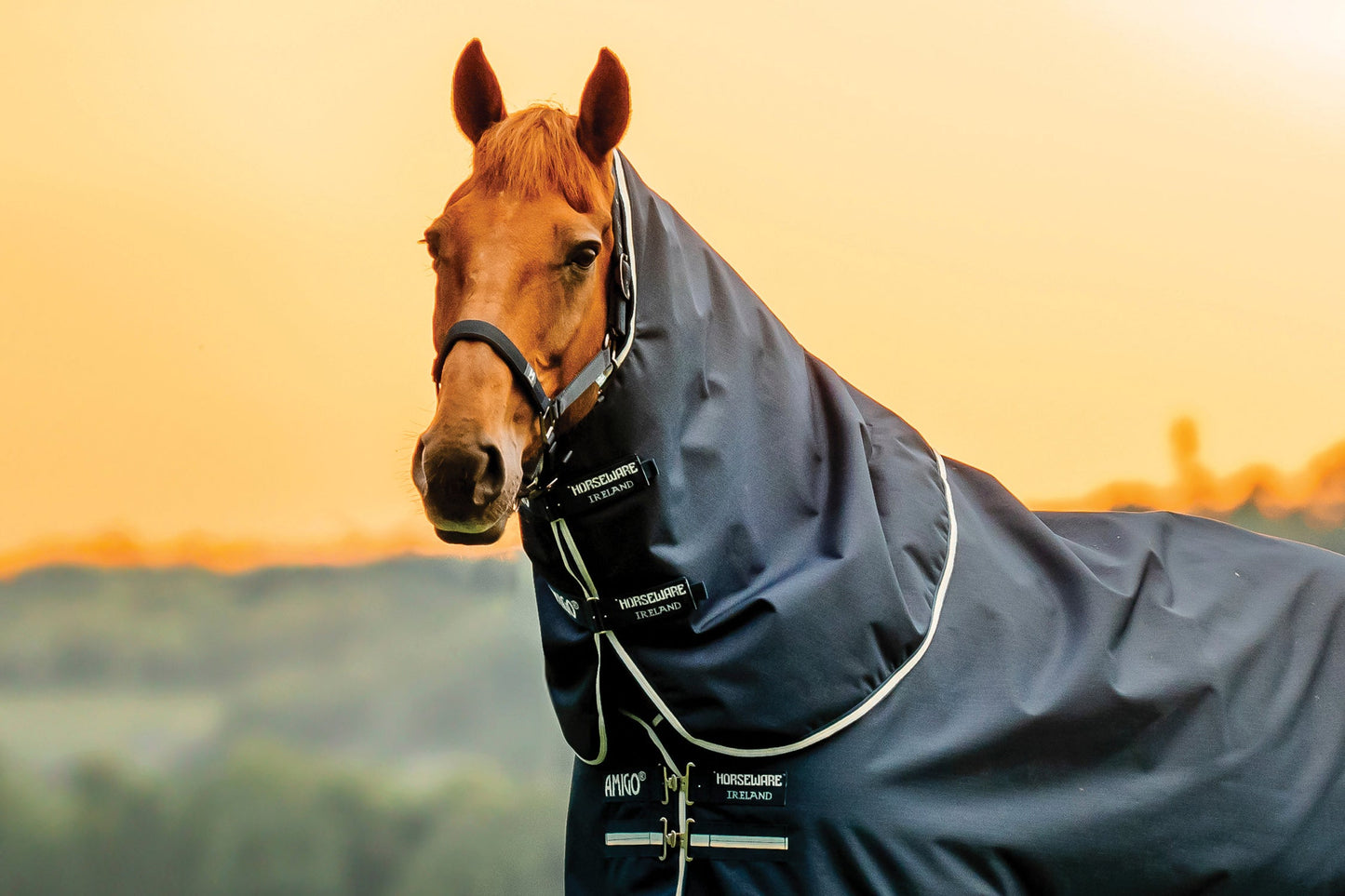Horseware Ireland Amigo Ripstop 900D 100 Gram Plus Turnout