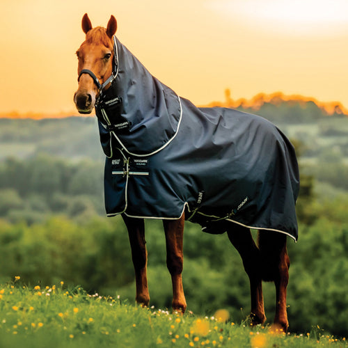 Horseware Ireland Amigo Ripstop 900D 100 Gram Plus Turnout
