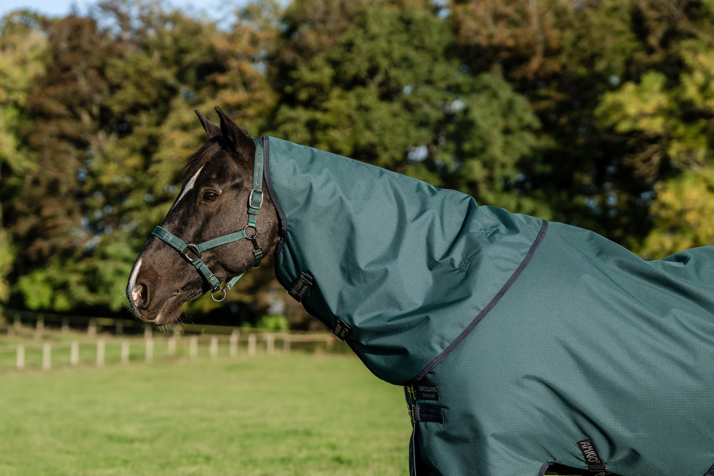 Horseware Ireland Amigo Ripstop 900D 100 Gram Plus Turnout