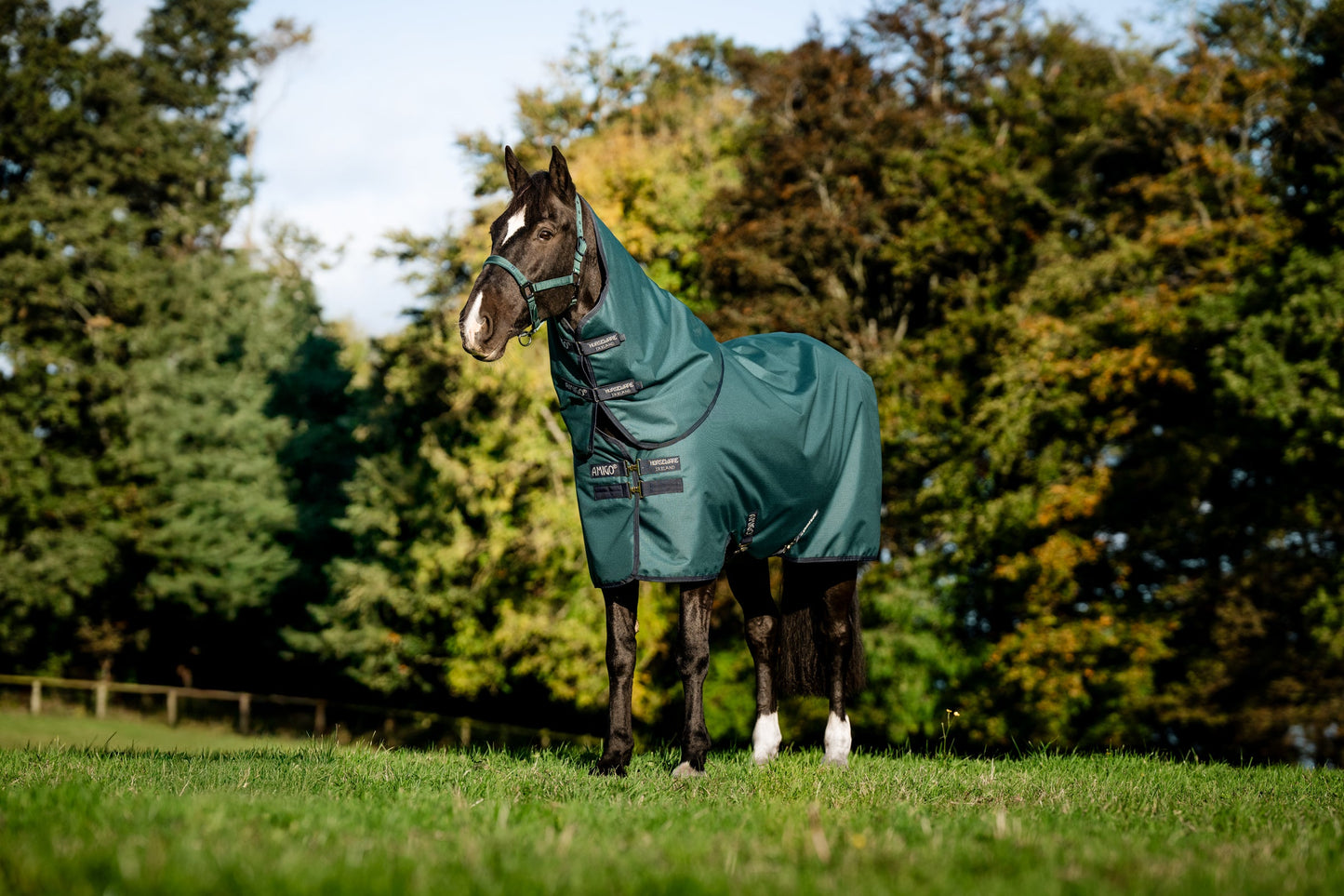 Horseware Ireland Amigo Ripstop 900D Plus Pony Turnout Sheet