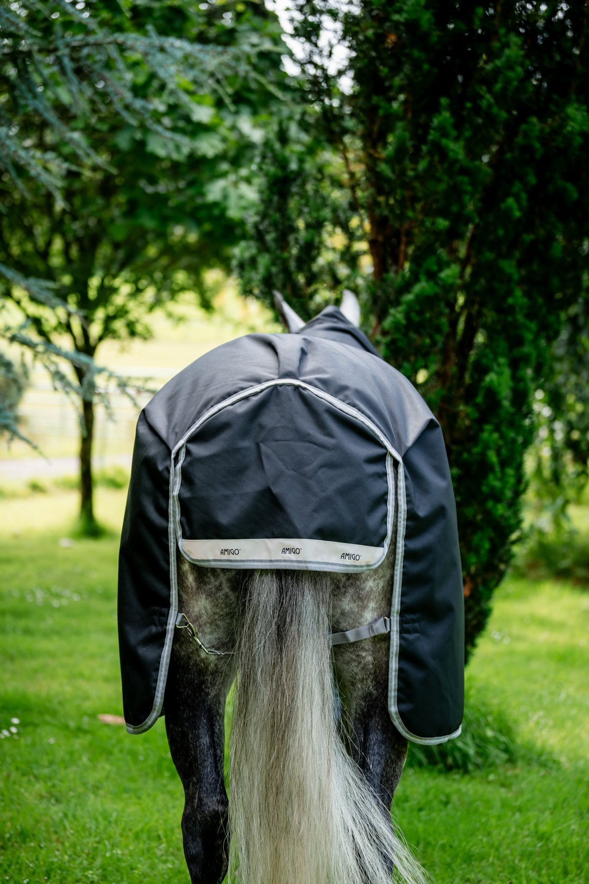 Horseware Ireland Amigo 1200D Plus Turnout 250 Gram