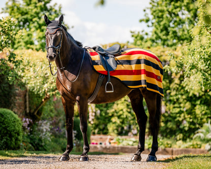 Horseware Ireland Newmarket Exercise Sheet