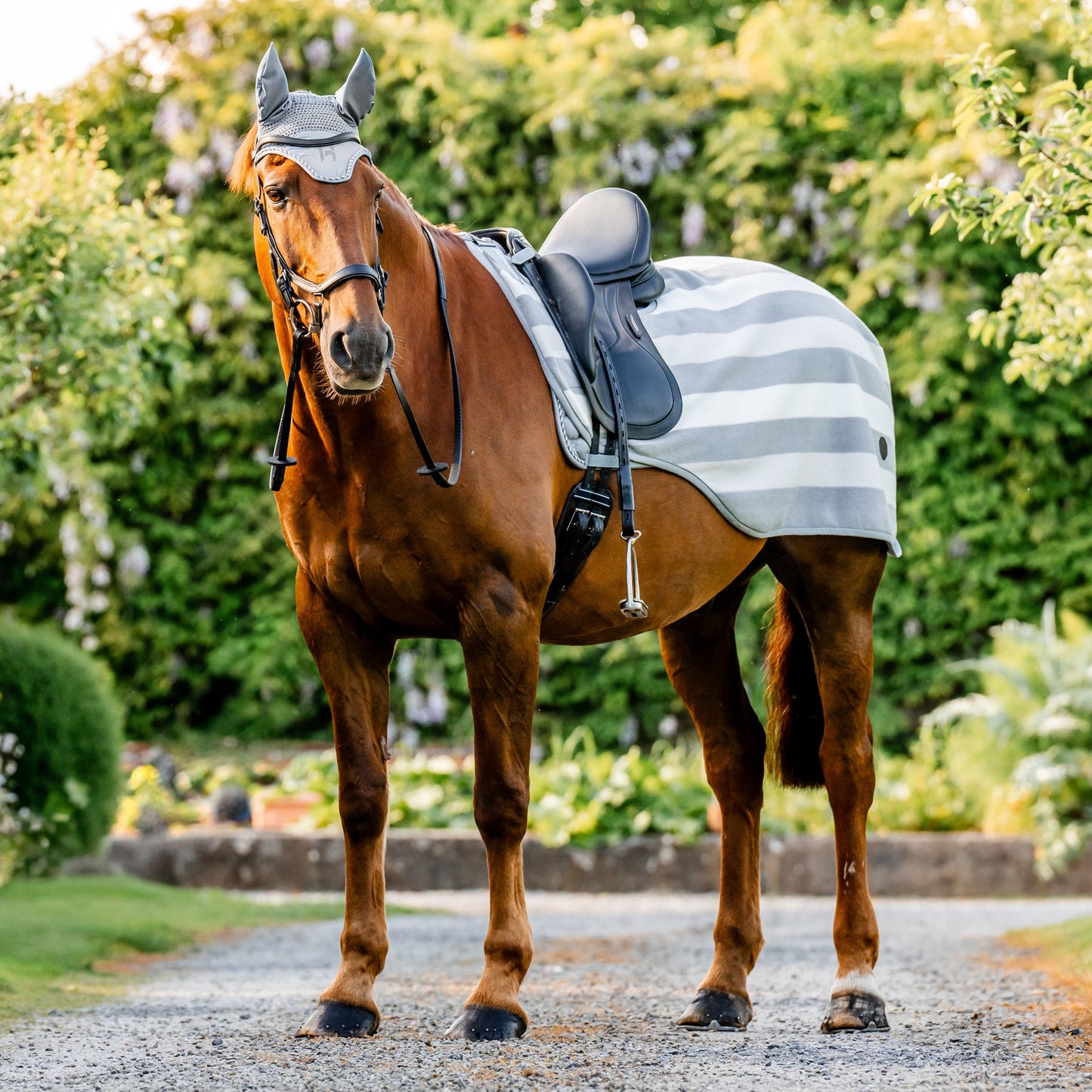 Horseware Ireland Newmarket Exercise Sheet