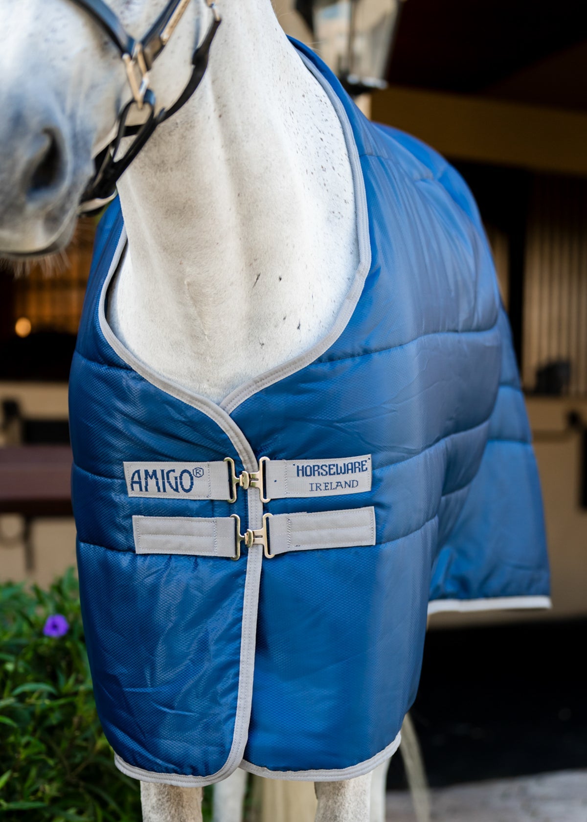 Horseware Ireland Amigo Ripstop Insulator Stable Blanket - 100G