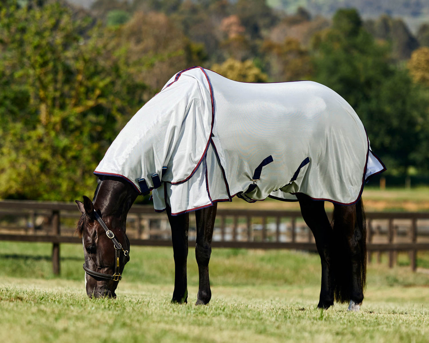 WeatherBeeta ComFiTec Airflow Fly Sheet Detach-A-Neck