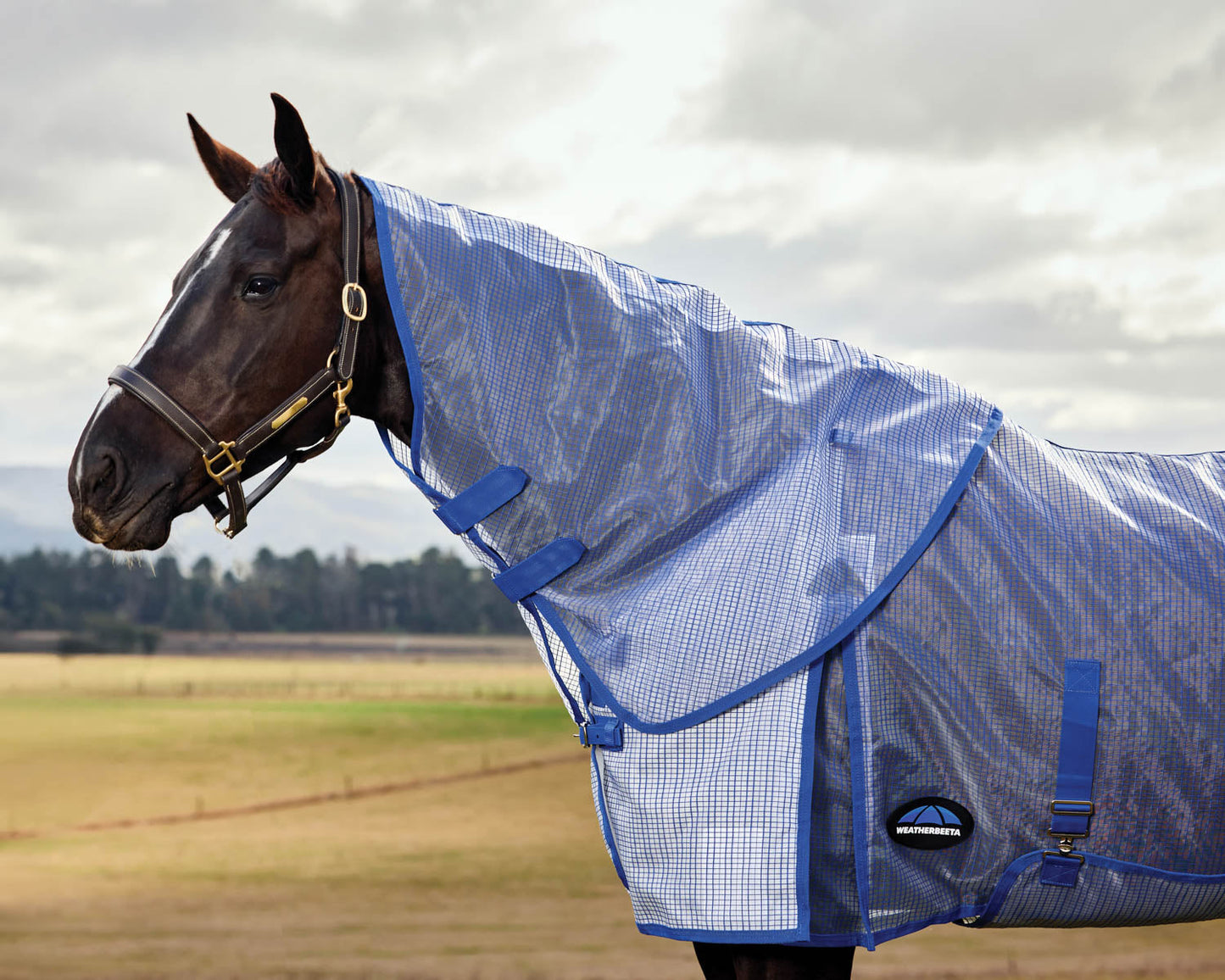 WeatherBeeta ComFiTec Ripshield Detach-A-Neck Fly Sheet