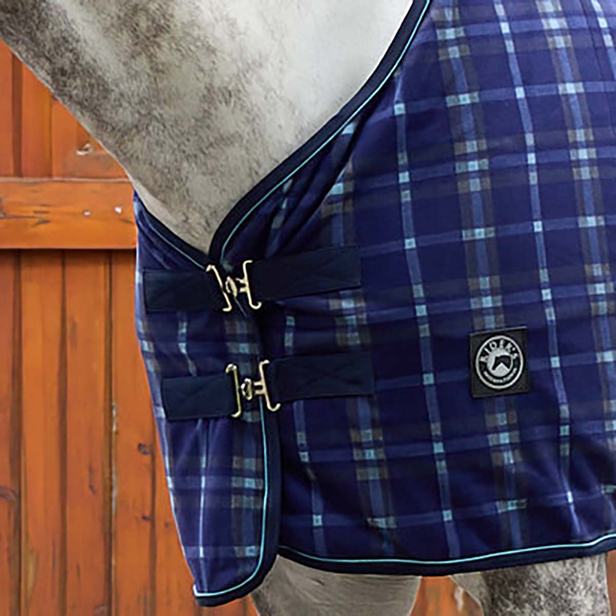 Rider’s International Classic Cooler–Plaid