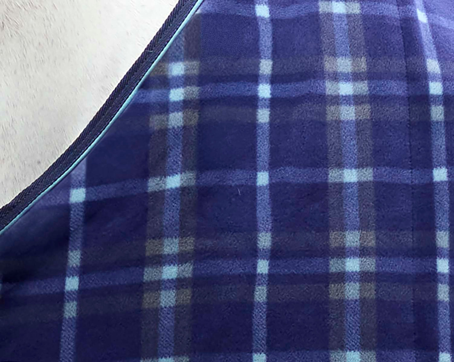 Rider’s International Classic Cooler–Plaid