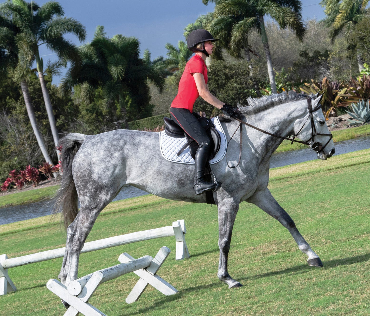 Stride Ladies’ Performance Full-Seat Tight