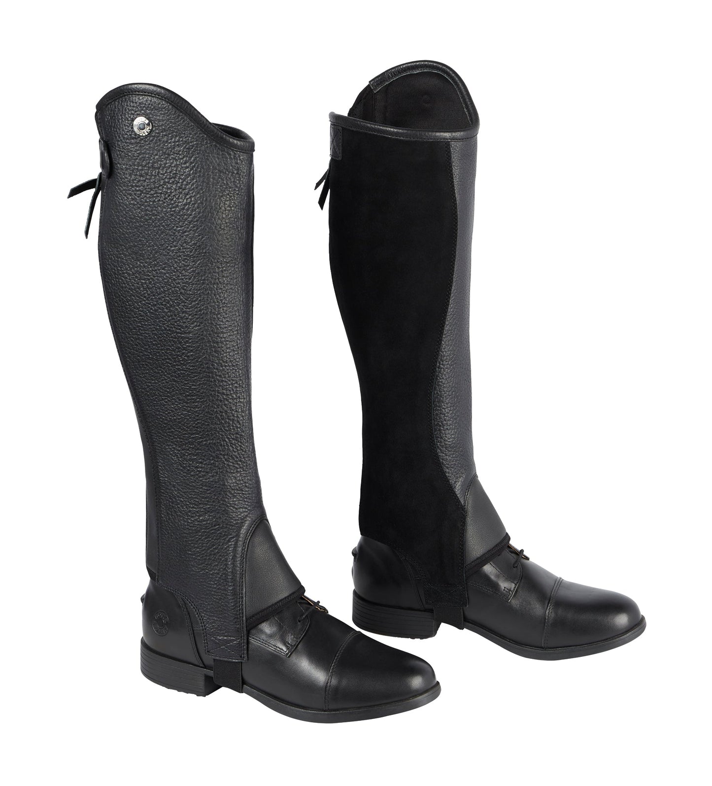 DS Ladies’ Stay Tight Leather Half Chaps