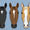 C4 Dover Saddlery Exclusive Belt