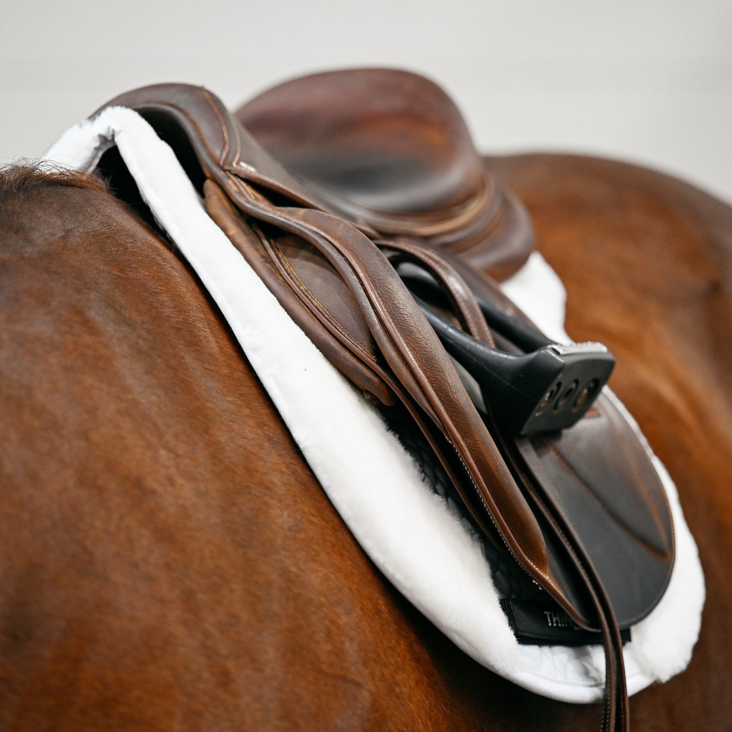 ThinLine The Link Hunter Pad