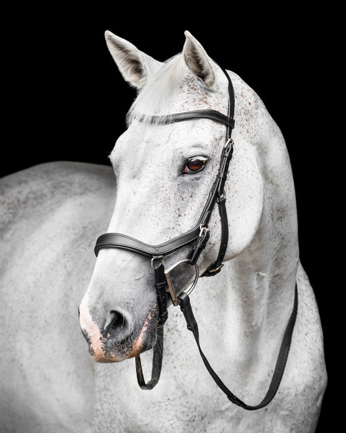 Horseware Micklem Competition Bridle