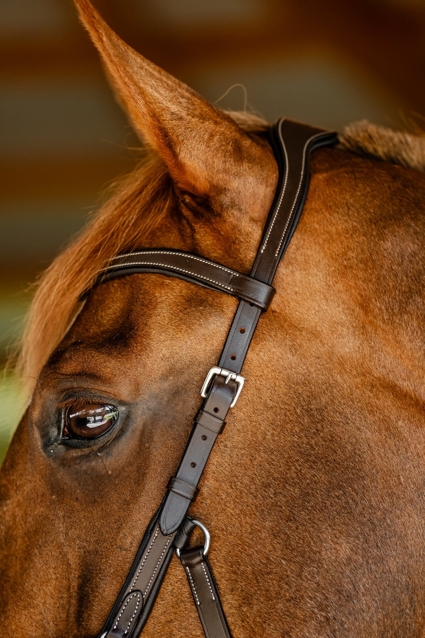 Horseware Micklem Competition Bridle