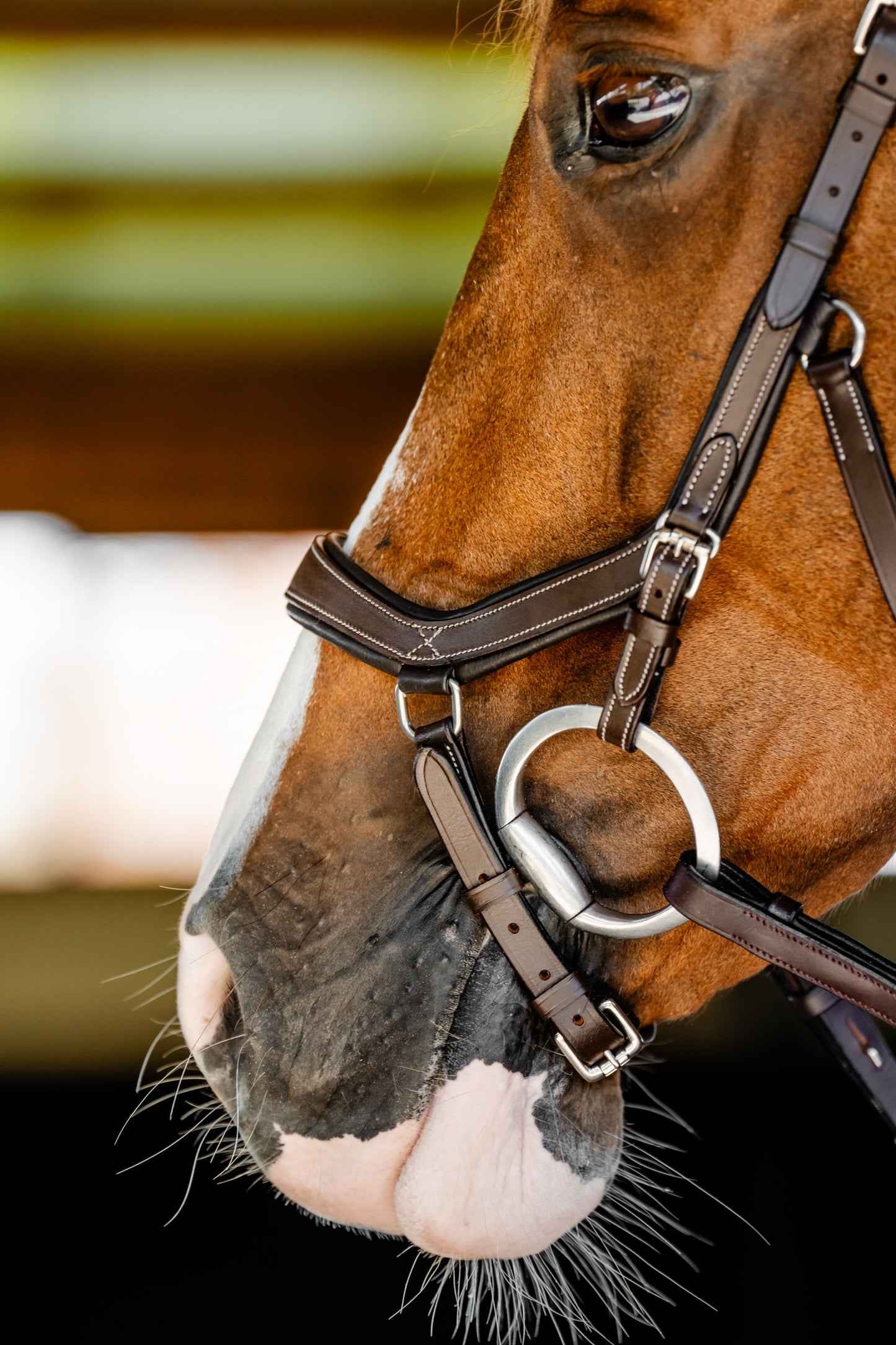 Horseware Micklem Competition Bridle