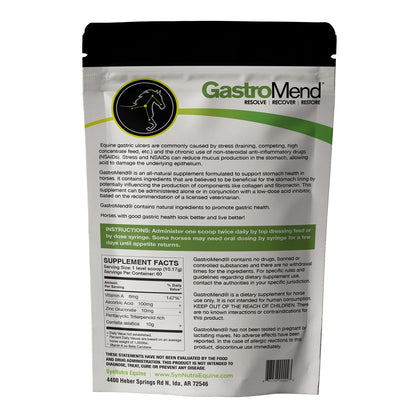 SynNutra Equine GastroMend Powder